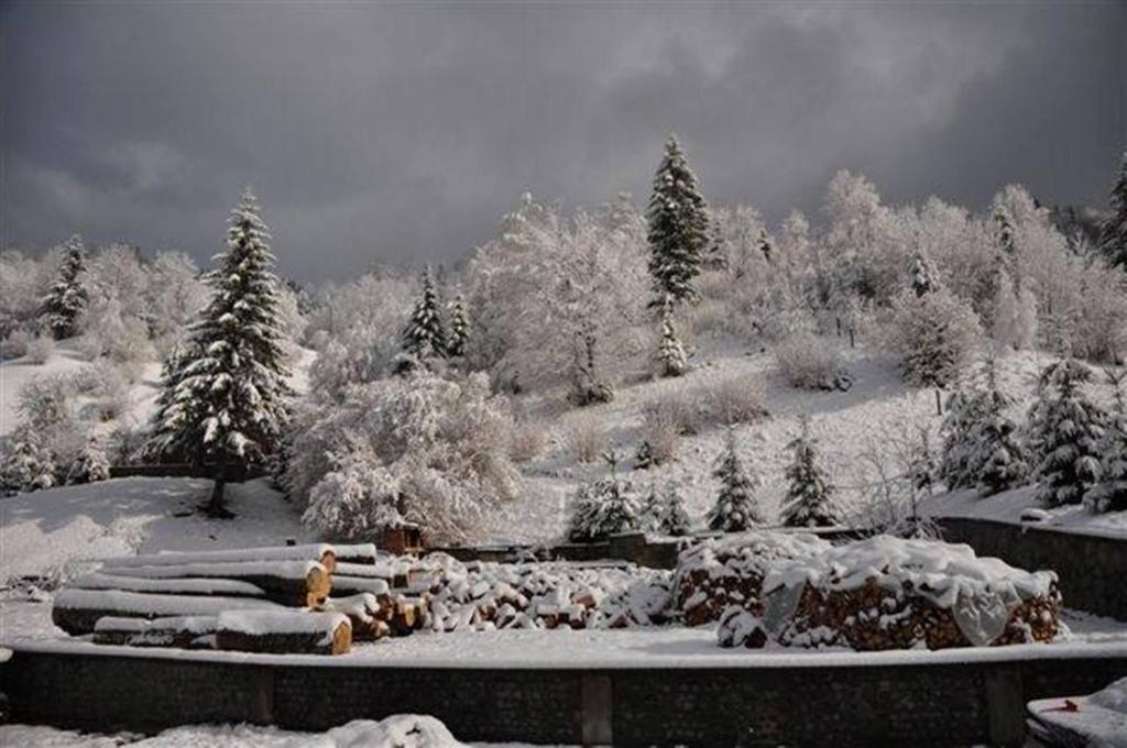 Pensiunea Aurora Izvorul Muntelui Bicaz Exteriör bild